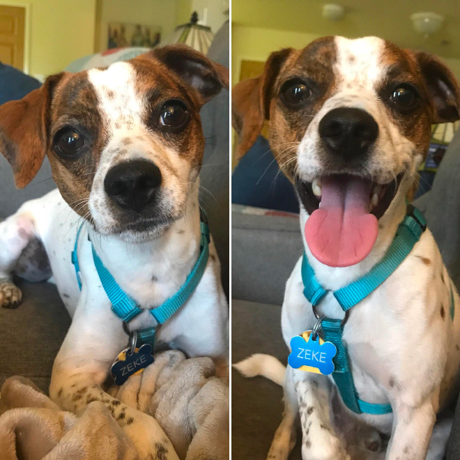 Before and after being called a good boy.