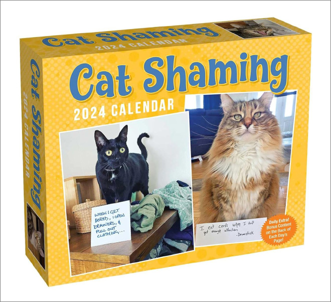2024 cat shaming calendar box.