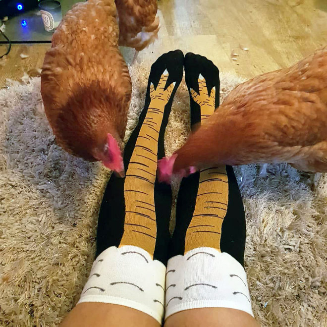 Chicken leg socks.