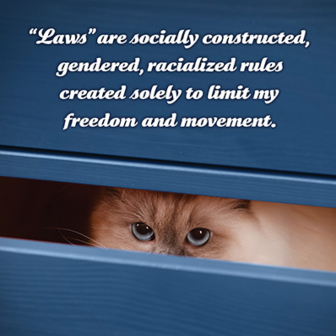 Social justice kitten.
