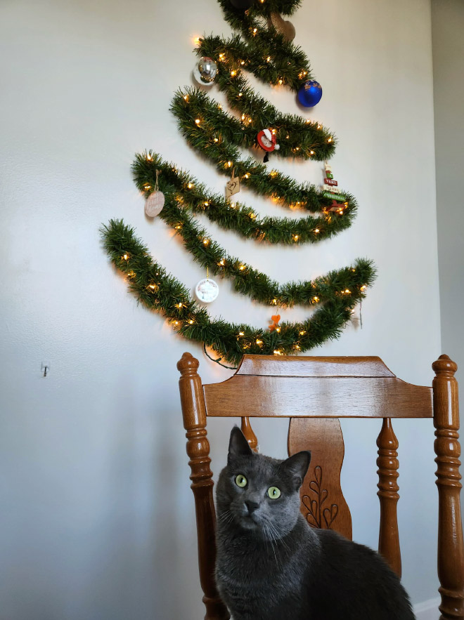 Pet-proofing Christmas tree.